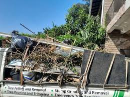 Best Furniture Removal  in Clifton, IL